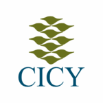Logo CICY