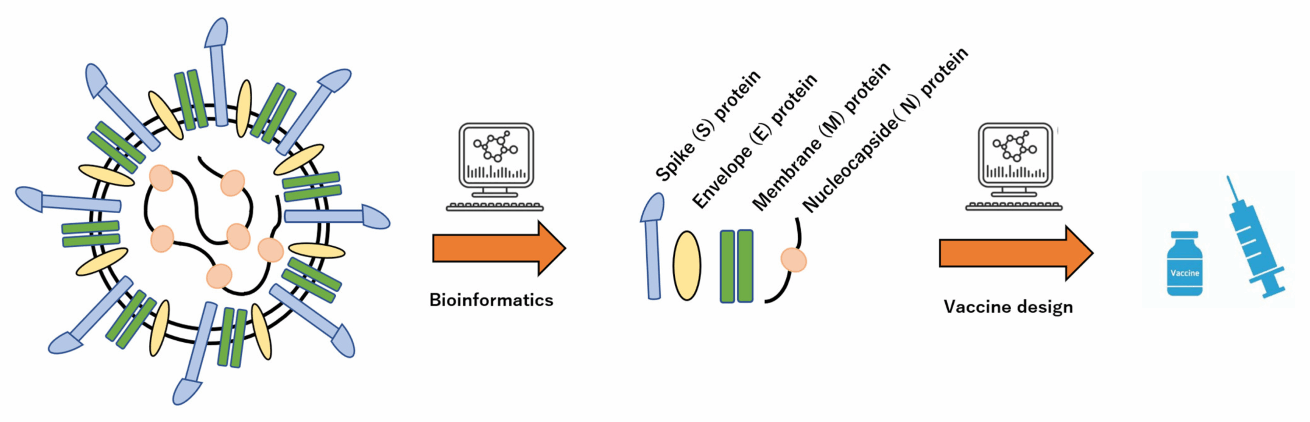proyecto ingeniería de proteínas