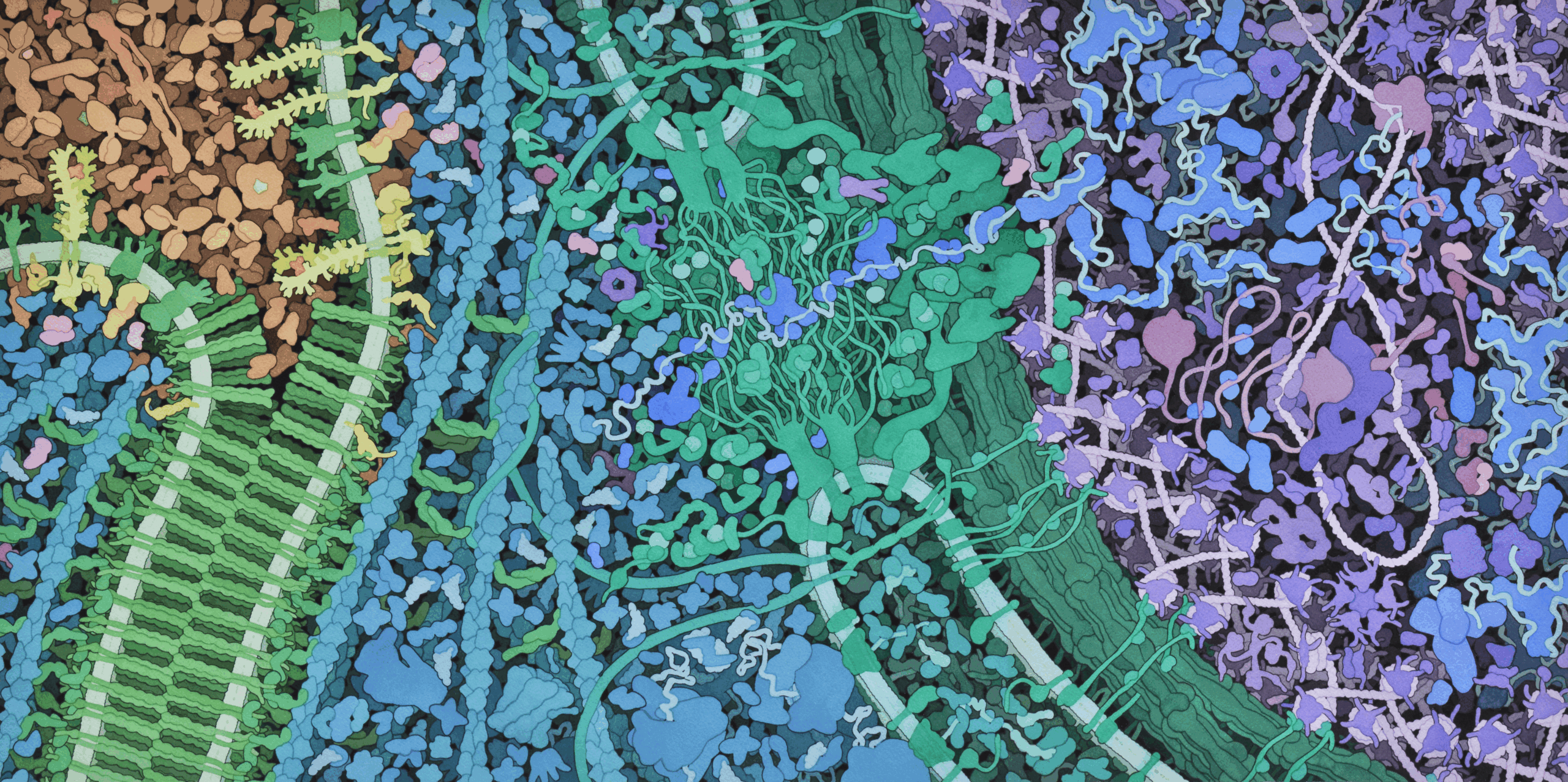 Estructuras proteicas