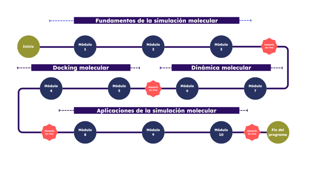 Roadmap Diplomado Modelado y Simulación Molecular