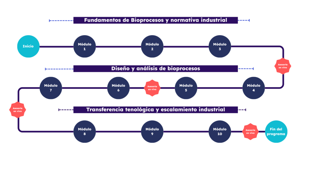 Roadmap Diplomado en Biotecnología y Bioprocesos