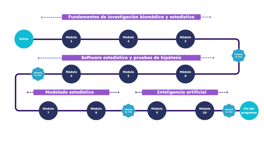 Roadmap Diplomado Bioestadística para Investigación Biomédica