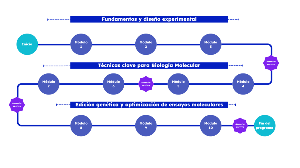 Roadmap Diplomado Biología Molecular